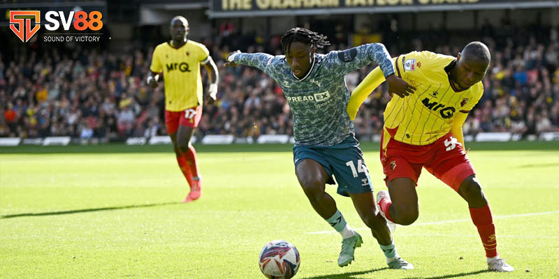 Nhận định bóng đá ngày 8/2: Vòng 31 Hạng nhất Anh 3 Nhận định bóng đá ngày 8/2:Sunderland vs Watford