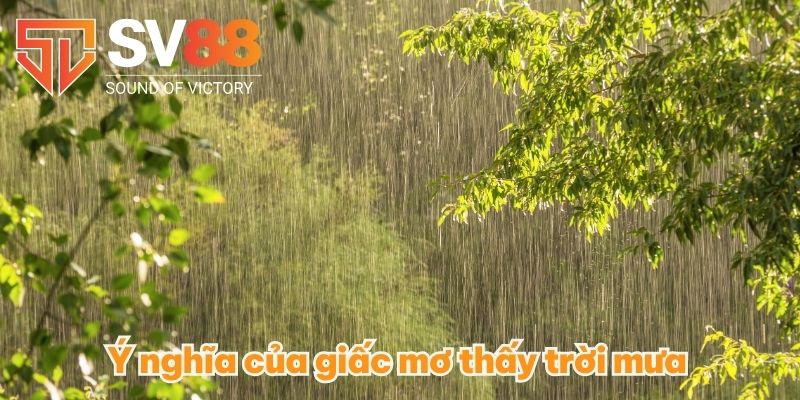 Mơ Thấy Trời Mưa Có Nghĩa Như Thế Nào? Nên Vào Con Số Nào? 2 Ý nghĩa của giấc mơ thấy trời mưa