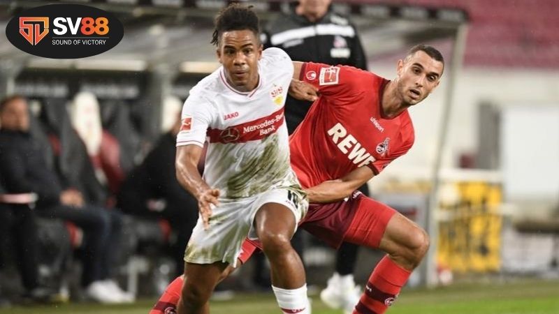 Soi kèo bóng đá Cologne vs Stuttgart, 22h30 ngày 28/9 2 Thông tin lực lượng Cologne vs Stuttgart mới nhất