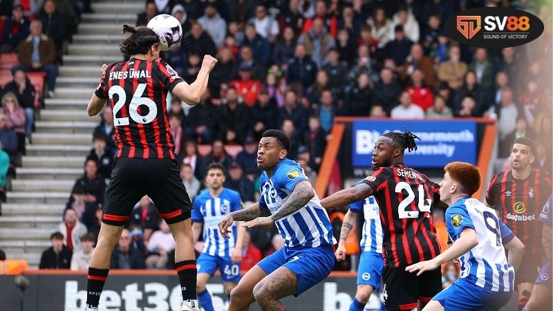 Soi kèo bóng đá Bournemouth vs Brighton, 21h00 ngày 13/9, tin tưởng mòng biển 2 Thông tin lực lượng Bournemouth vs Brighton mới nhất