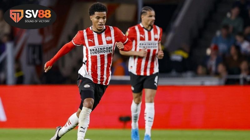 Soi kèo bóng đá Olympiacos vs PSV, 03h00 ngày 5/11, mưa gôn 2 Thông tin lực lượng Olympiacos vs PSV mới nhất